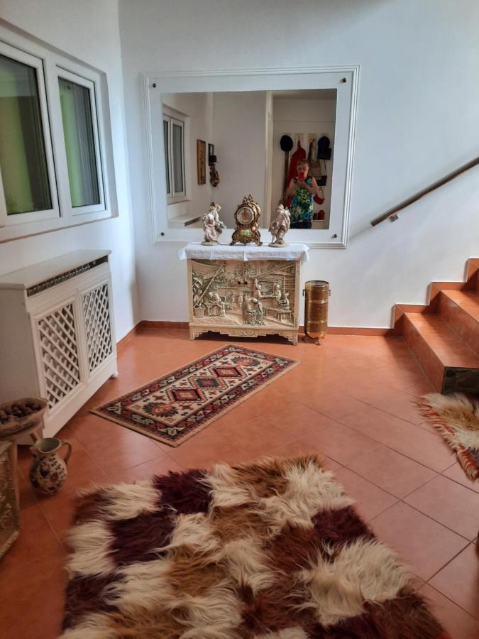 Pensiunea Valea Badilii Valea Iasului Exterior foto