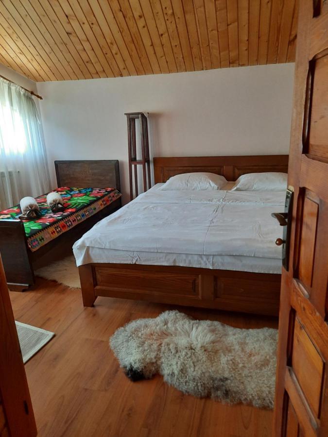 Pensiunea Valea Badilii Valea Iasului Exterior foto