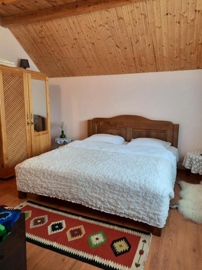 Pensiunea Valea Badilii Valea Iasului Exterior foto