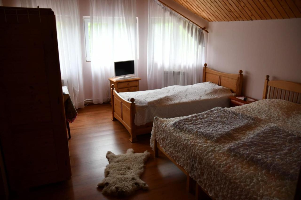 Pensiunea Valea Badilii Valea Iasului Exterior foto