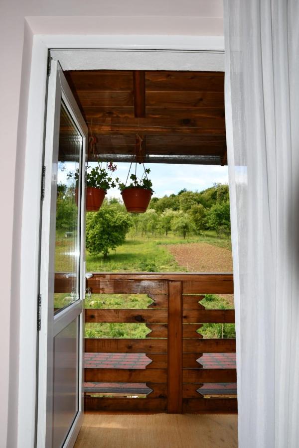 Pensiunea Valea Badilii Valea Iasului Exterior foto