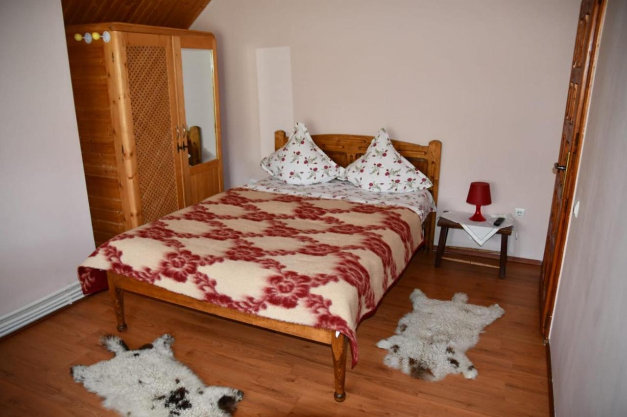Pensiunea Valea Badilii Valea Iasului Exterior foto
