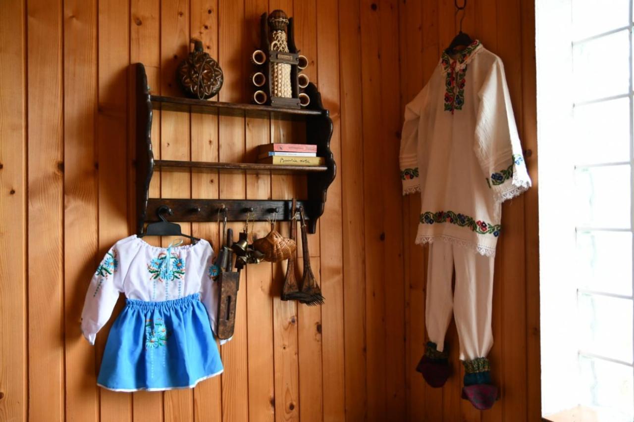 Pensiunea Valea Badilii Valea Iasului Exterior foto