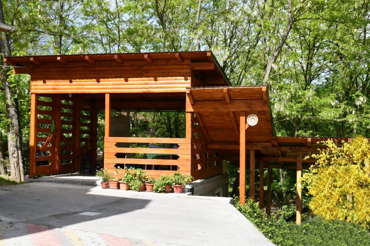 Pensiunea Valea Badilii Valea Iasului Exterior foto