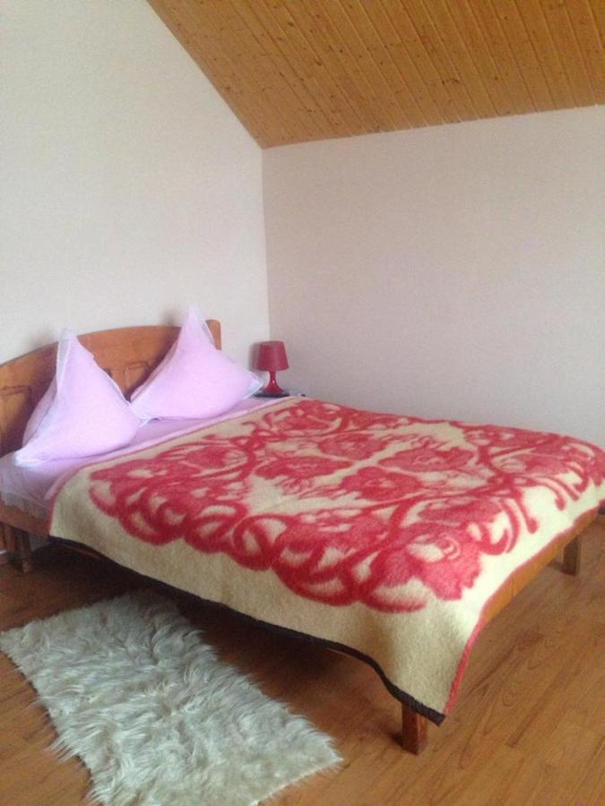 Pensiunea Valea Badilii Valea Iasului Exterior foto