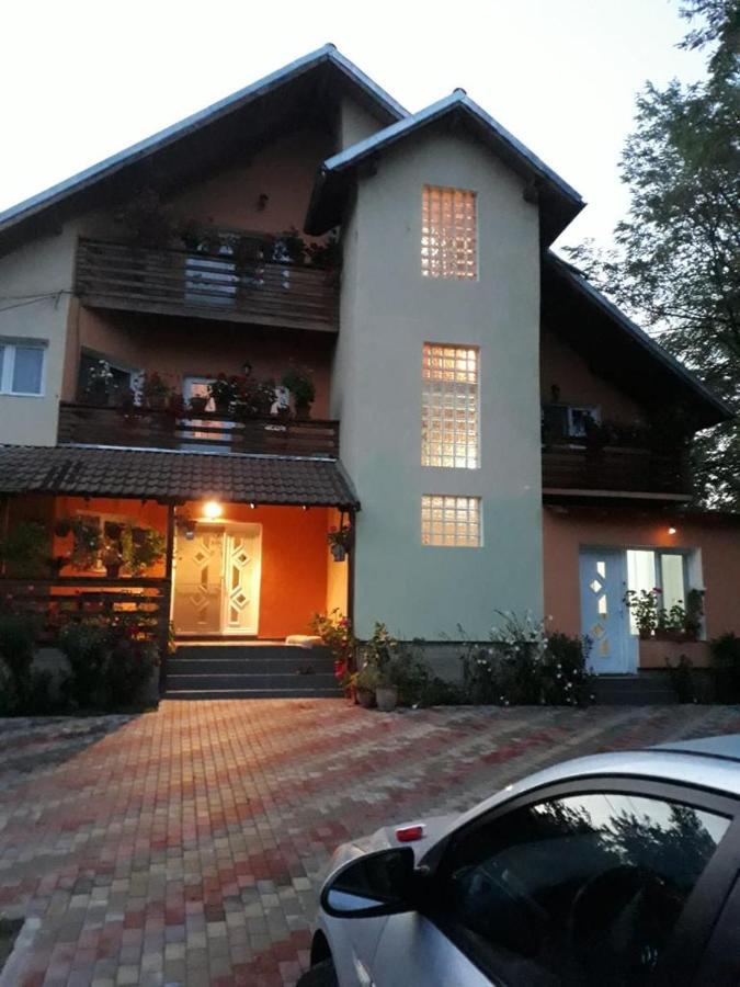 Pensiunea Valea Badilii Valea Iasului Exterior foto