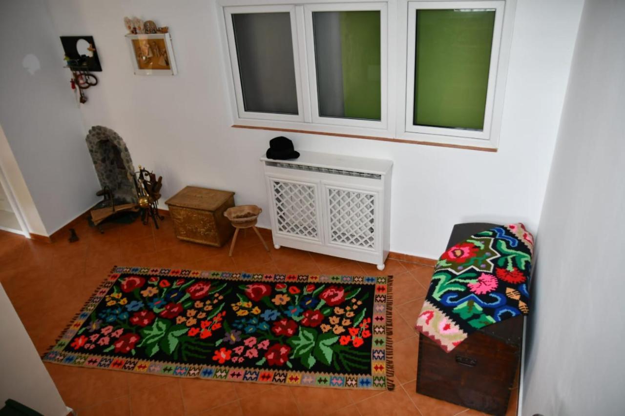 Pensiunea Valea Badilii Valea Iasului Exterior foto