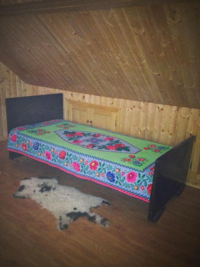 Pensiunea Valea Badilii Valea Iasului Exterior foto