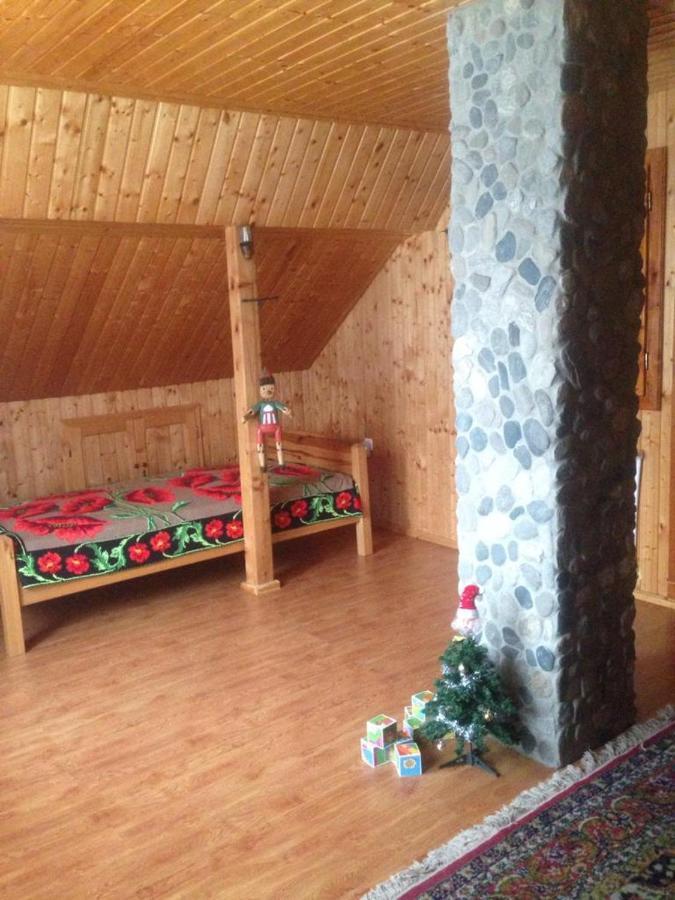 Pensiunea Valea Badilii Valea Iasului Exterior foto