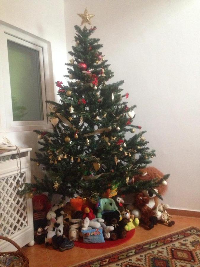 Pensiunea Valea Badilii Valea Iasului Exterior foto
